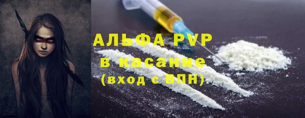 индика Волосово