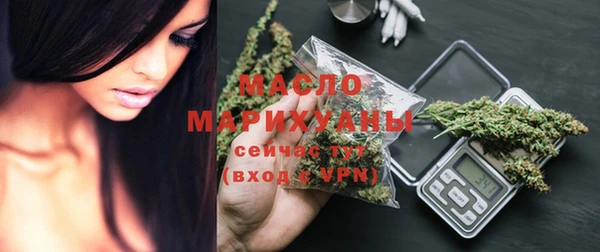 индика Волосово
