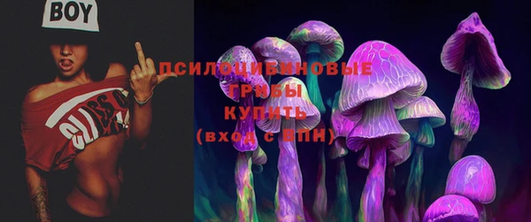 сатива Володарск