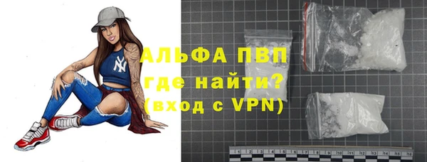 индика Волосово