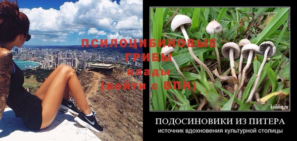сатива Володарск
