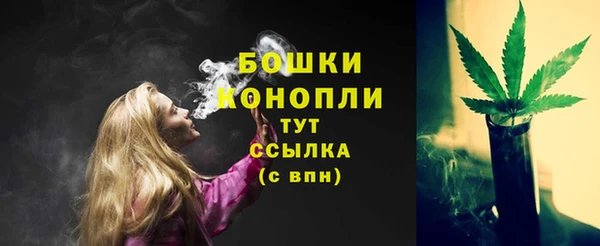 сатива Володарск