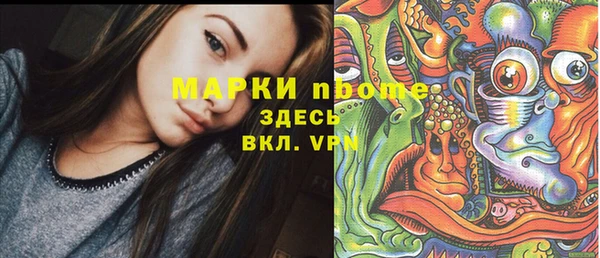 индика Волосово
