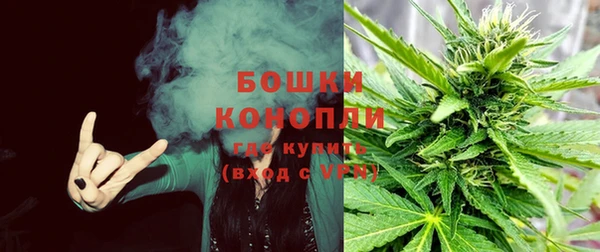 сатива Володарск