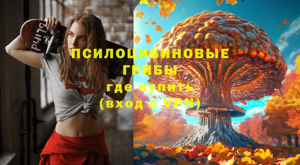 соль курить ск Верея